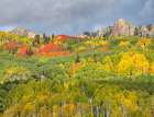 USA-Colorado-Kebler Pass Bright color of autumn on Kebler Pass Art Print